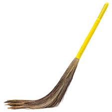 PHOOL JHADU