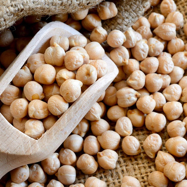 KABULI CHANAA (WHITE)